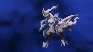 Kyurem blanc animé.png