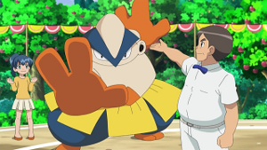 NB134 - Hariyama d'un Dresseur.png