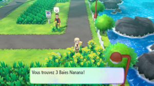 Route 17 Baie Nanab LGPE.png