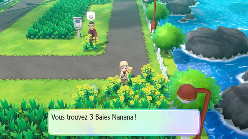 Fichier:Route 17 Baie Nanab LGPE.png