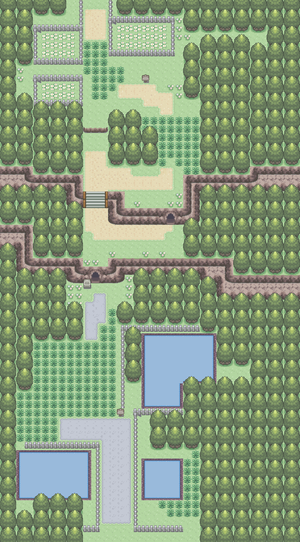 Route 204.png