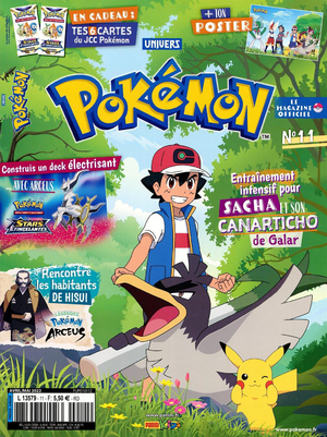 Univers Pokémon - 11.png