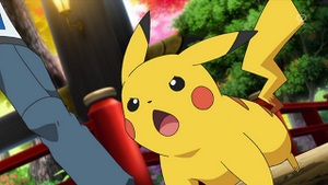 XY074 - Pikachu de Sacha.png