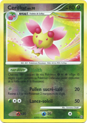 Carte Diamant & Perle Tempête 14.png