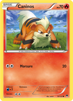 Caninos (XY Rupture TURBO 10)