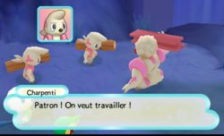 Les Charpenti supplient leur patron...