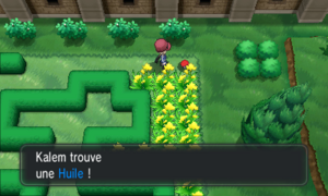 Route 4 Huile XY.png
