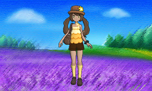 Vidéo Dresseur Angle De face.png