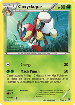 Coxyclaque (XY 7)