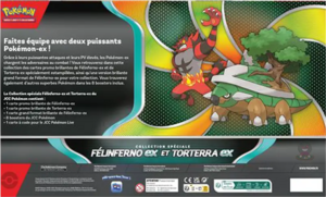 Collection spéciale Félinferno-ex et Torterra-ex Verso.png