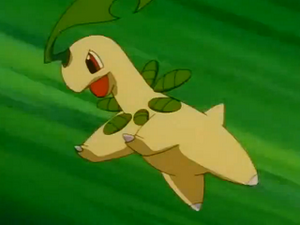 EP233 - Macronium de Sacha.png