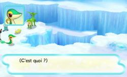 Le joueur remarque quelque chose plus loin...
