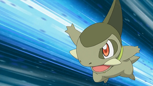 NB125 - Coupenotte d'Iris.png