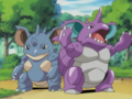 Nidoqueen (de Julie) et Nidoking (d'Oscar)