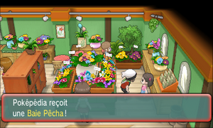 Route 104 Baie Pêcha ROSA.png