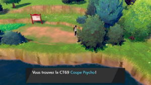 Route 2 Coupe Psycho EB.png