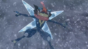 XY121 - Sachanobi.png