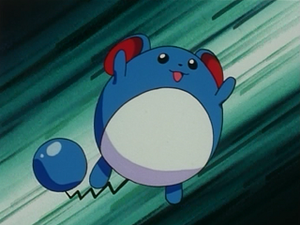 EP116 - Marill de Jacky.png