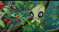 Celebi (sauvage ► du Chasseur Masqué ► sauvage)