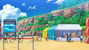 LV076 - Férosinge et Psykokwak d'un Dresseur.png