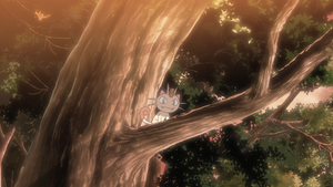 LV135 - Miaouss (Flash-back).png