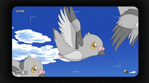 NB054 -Poichigeon.png