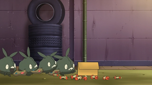 NB105 - Miamiasme (Flash-back).png