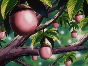 Noigrume Ros animé.png