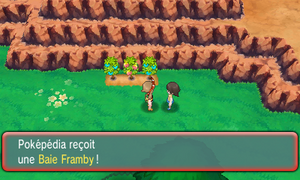 Route 111 Baie Framby ROSA.png