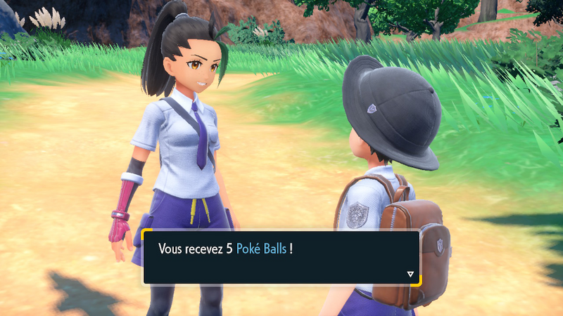 Fichier:Route de Cuchalaga EV Poké Ball.png