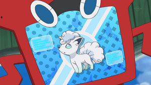 SL014 - Goupix d'Alola Pokédex.png