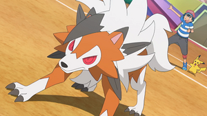 SL142 - Lougaroc de Sacha.png