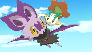 XY104.png