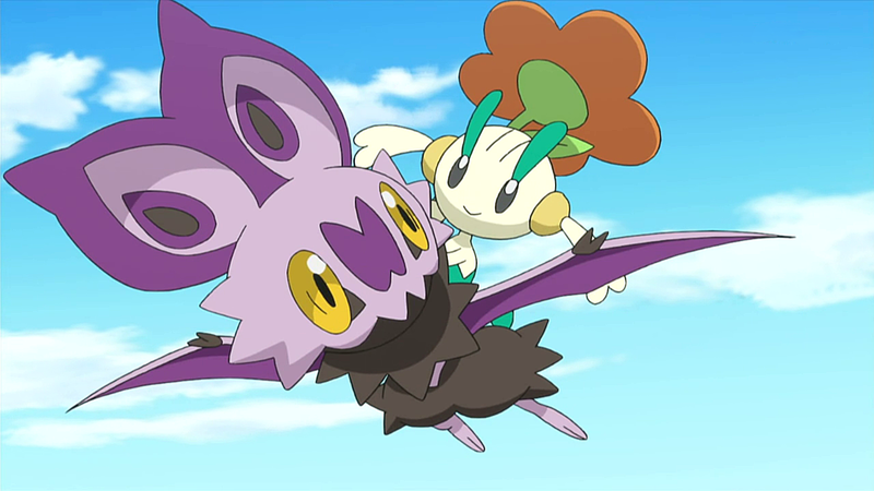 Fichier:XY104.png