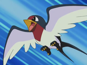 AG033 - Nirondelle de Sacha.png