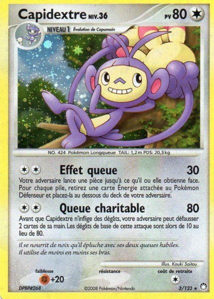 Fichier:Carte Diamant & Perle Trésors Mystérieux 3.png