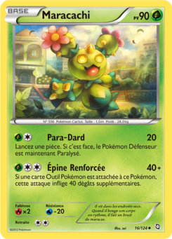 Maracachi (Noir & Blanc Dragons Exaltés 16)