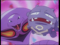 Arbok (de Jessie) et Smogogo (de James)