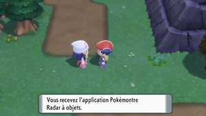 Route 207 Radar à Objets DEPS.png