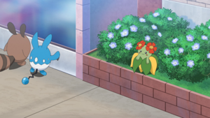 LH077 - Joliflor.png