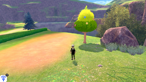 Plateau de Kickenham Arbre à Baies 1 EB.png