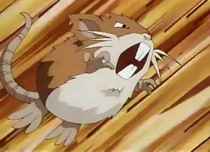 Rattatac de Cassidy.png