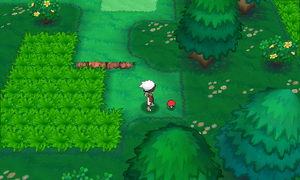 Route 102 Potion ROSA.png