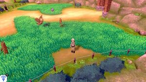 Super Ball Abords de Motorby EB.jpg