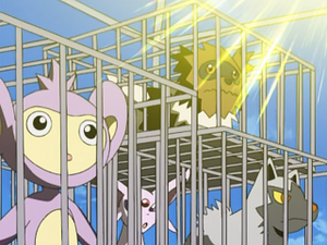 AG121 - Medhyèna d'un Dresseur.png