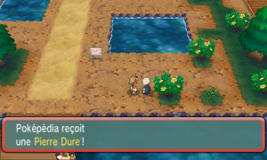 Route 114 Pierre Dure ROSA.png