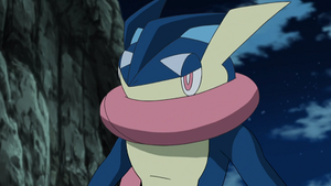 XY100 - Amphinobi de Sacha.png