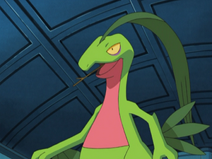 AG111 - Massko de Sacha.png