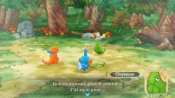 Le sauvetage de Chrysacier.