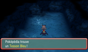 Chenal 126 Tesson Bleu ROSA.png